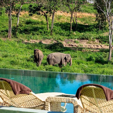 Wild Cottages Elephant Sanctuary Resort Nathoni-öböl Kültér fotó