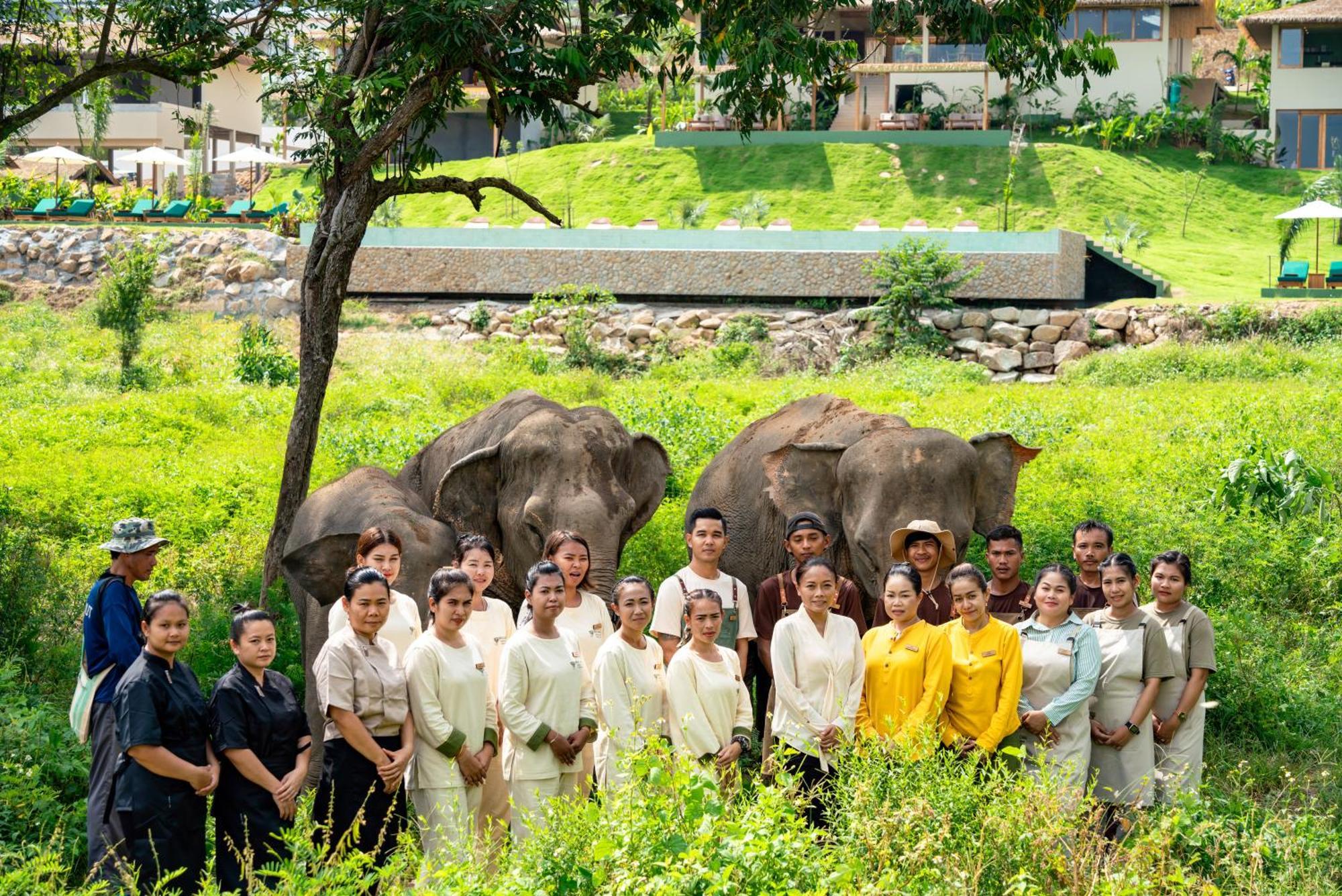 Wild Cottages Elephant Sanctuary Resort Nathoni-öböl Kültér fotó