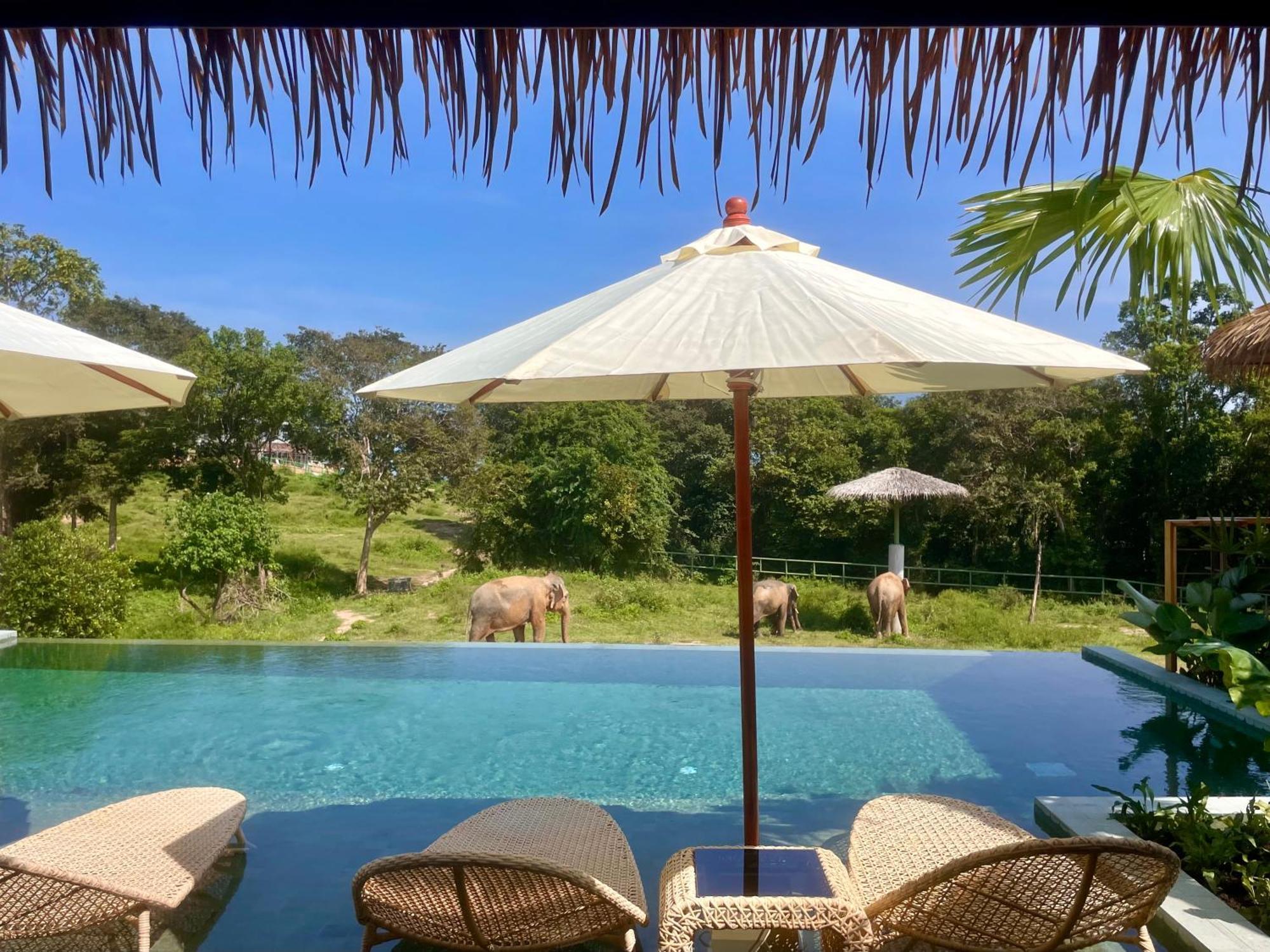 Wild Cottages Elephant Sanctuary Resort Nathoni-öböl Kültér fotó